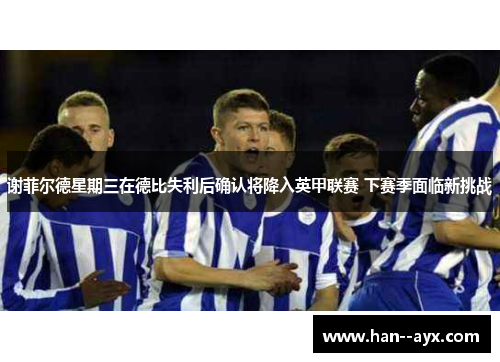 谢菲尔德星期三在德比失利后确认将降入英甲联赛 下赛季面临新挑战